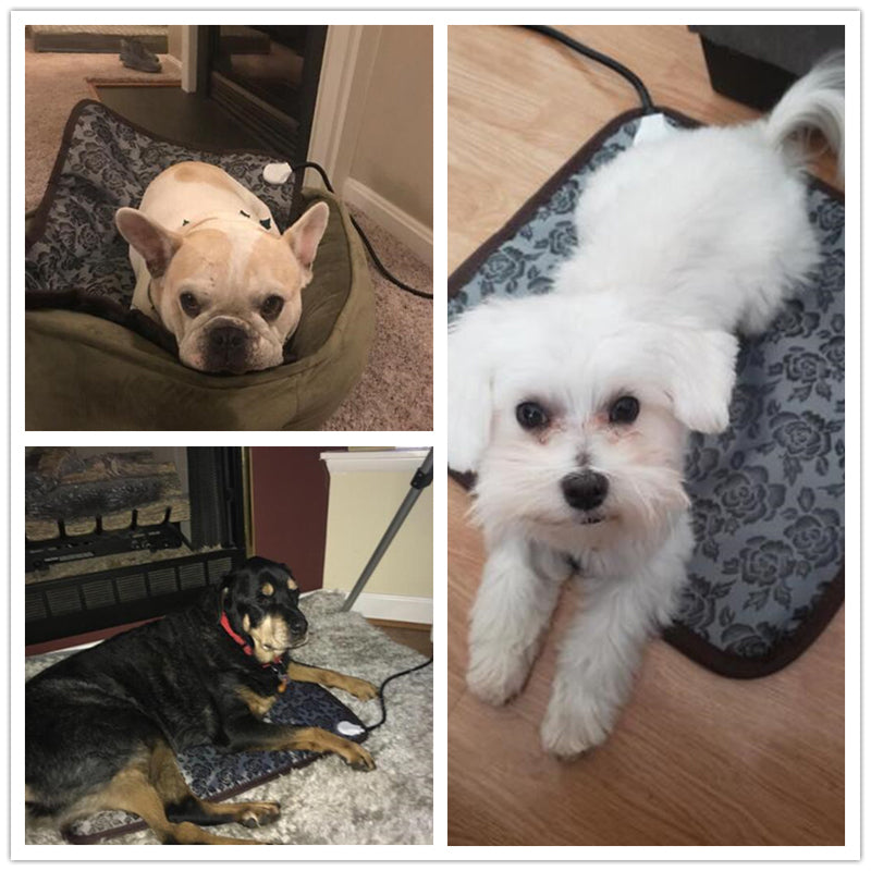 Benepaw Pet Heating Pad | Adjustable, Waterproof, Safe