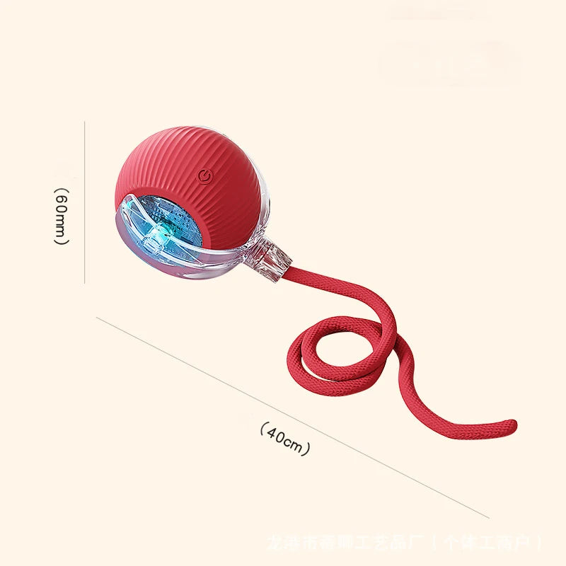 Cat Interactive Ball | Rechargeable Smart Toy for Kittens