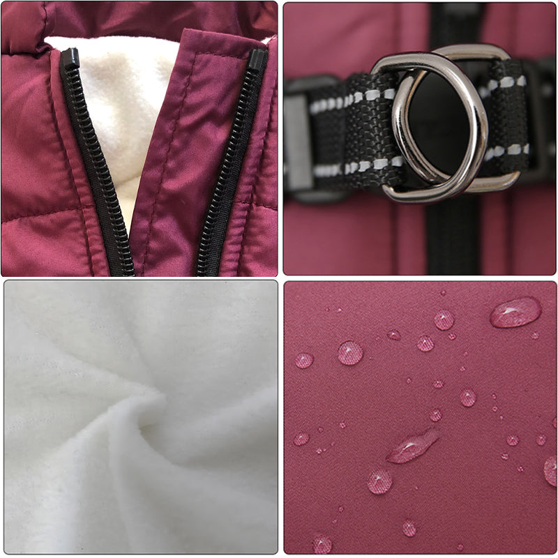 Winter Dog Coat - Waterproof, Warm, with Harness for All Sizes