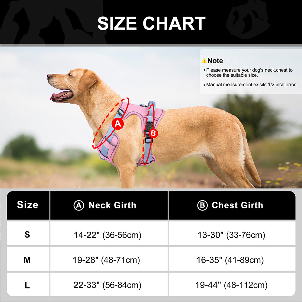 Reflective Mesh Dog Harness | Adjustable for All Sizes