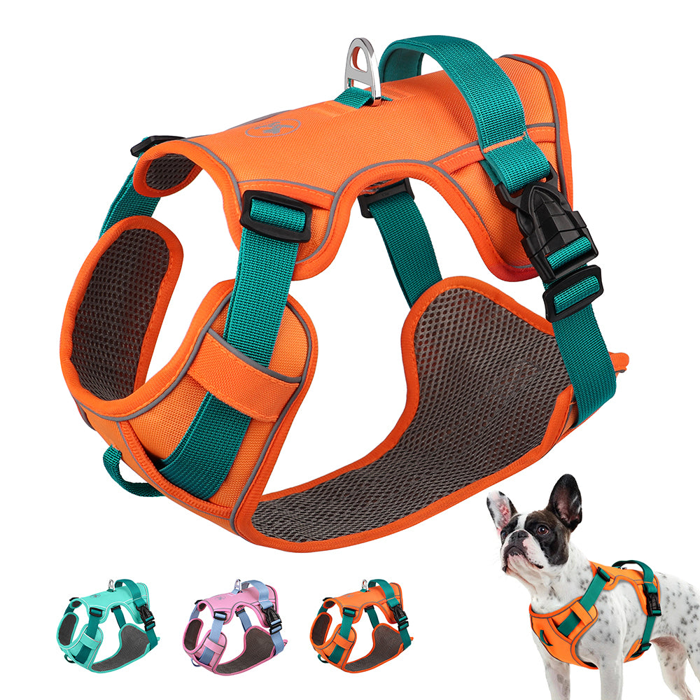Reflective Mesh Dog Harness | Adjustable for All Sizes