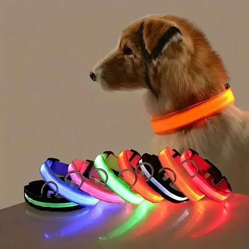 LED Dog Collar Light Up Safety Night Walking Flashing Glow