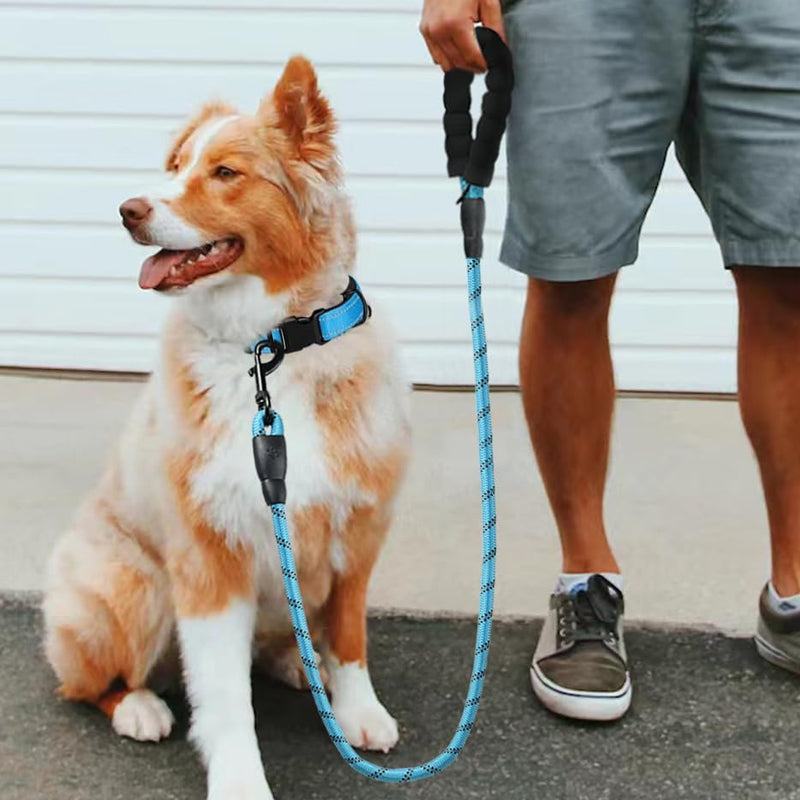 3M Reflective Dog Leash - Padded Handle & Heavy Duty Rope