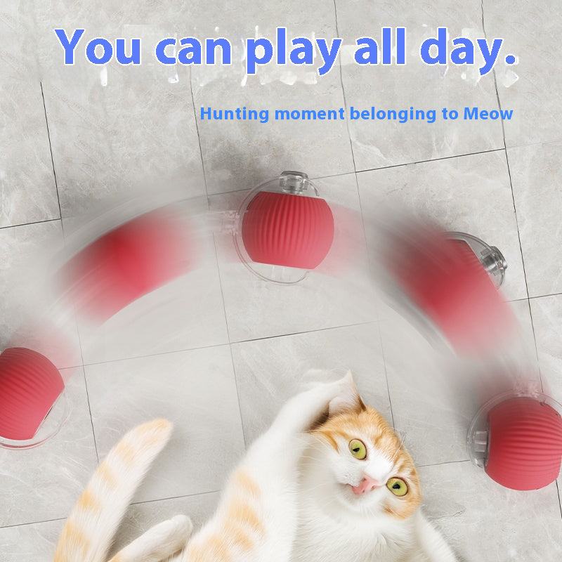 Cat Interactive Ball | Rechargeable Smart Toy for Kittens