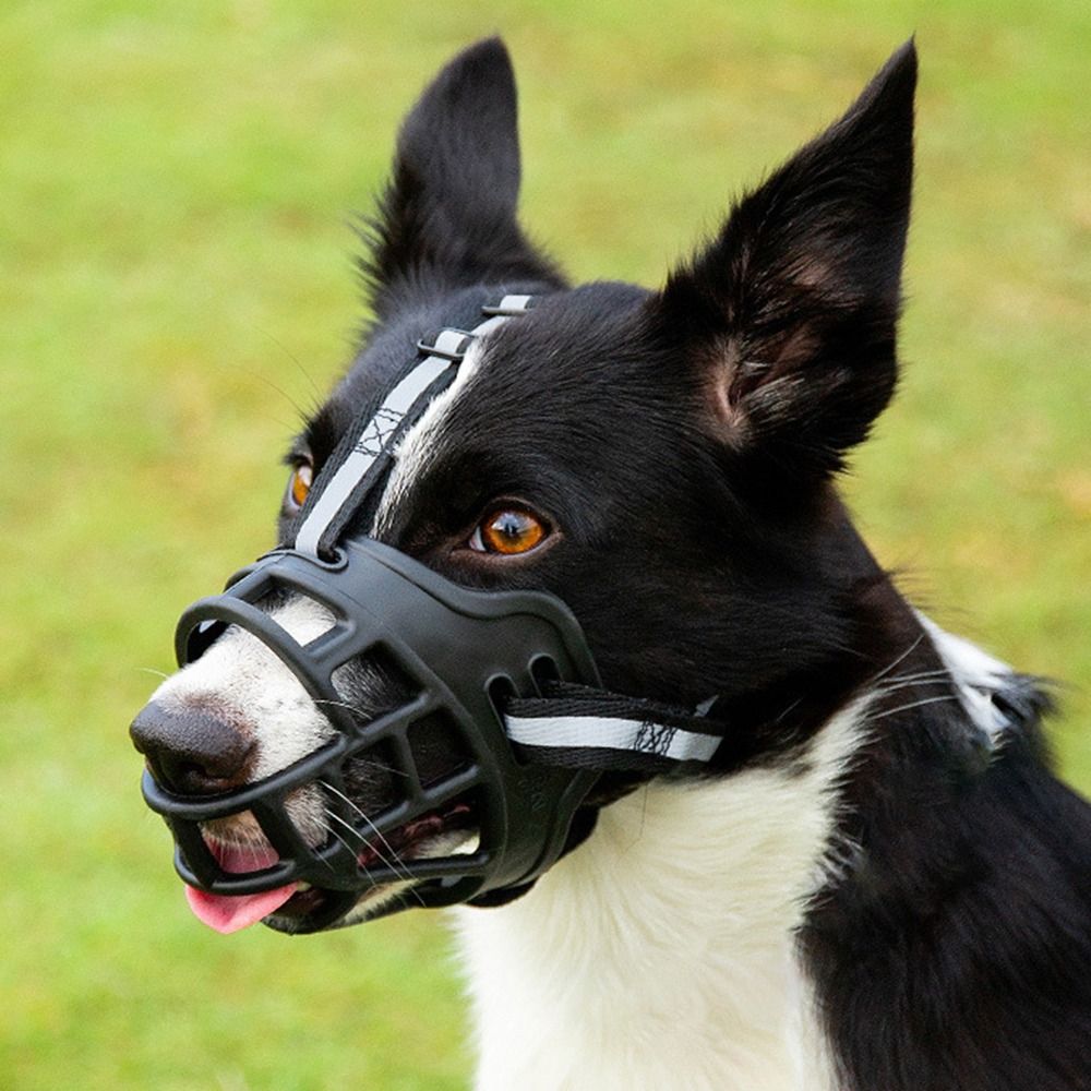 Anti-Biting Dog Muzzle: Adjustable, Breathable, Reflective
