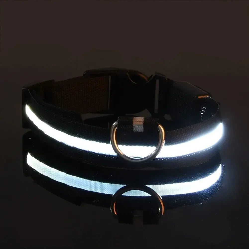 LED Dog Collar Light Up Safety Night Walking Flashing Glow