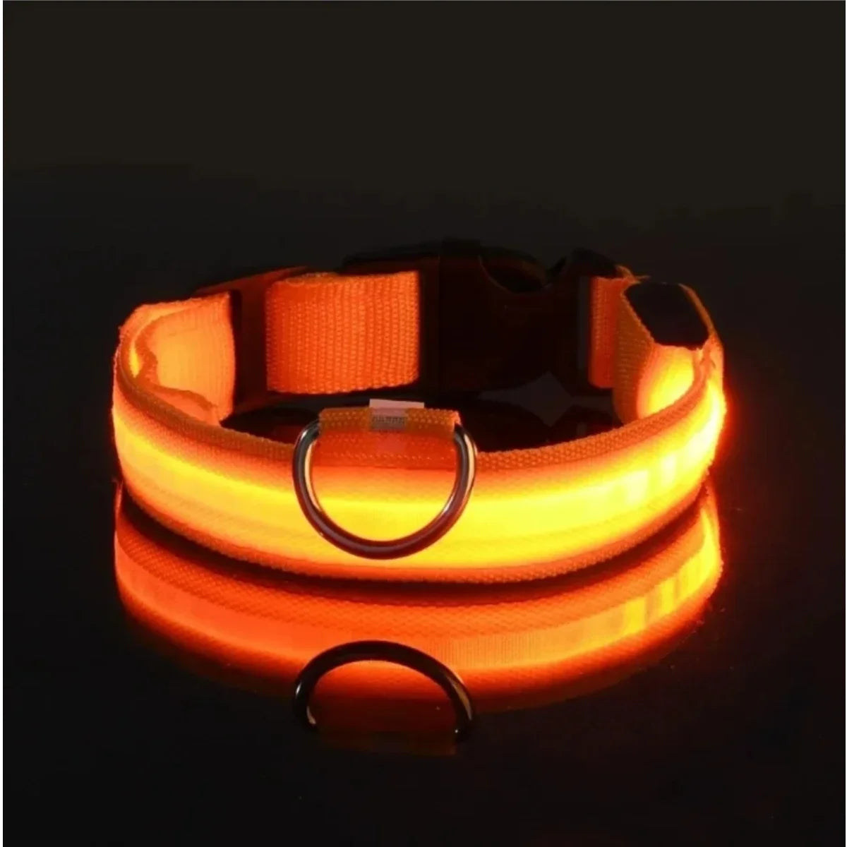 LED Dog Collar Light Up Safety Night Walking Flashing Glow