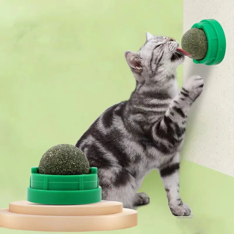 Catnip Wall Ball Toy | Natural Digestive Treat for Cats