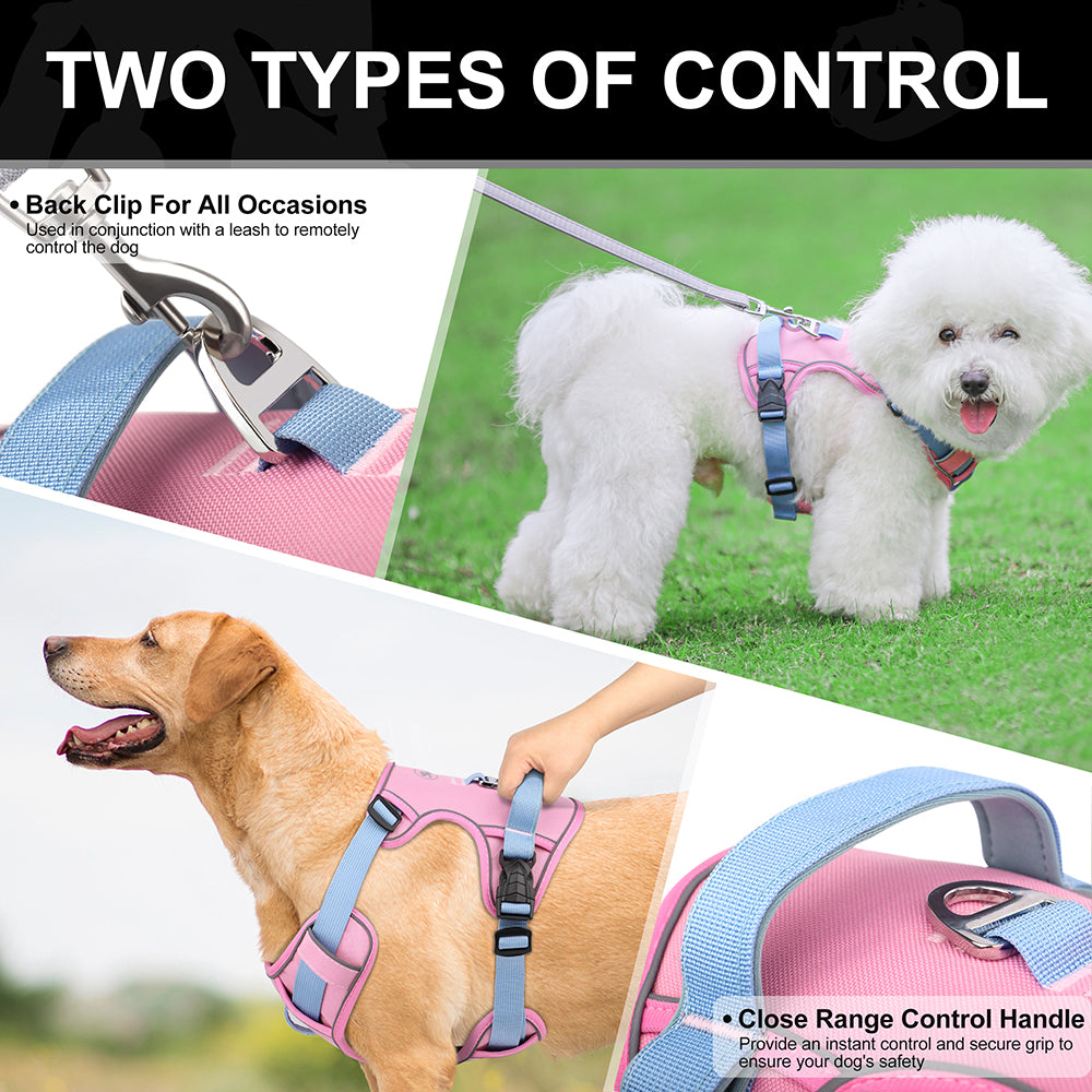 Reflective Mesh Dog Harness | Adjustable for All Sizes