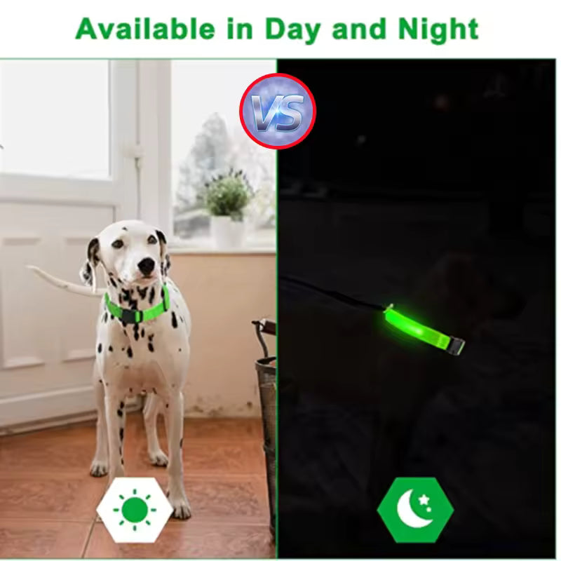 LED Dog Collar Light Up Safety Night Walking Flashing Glow