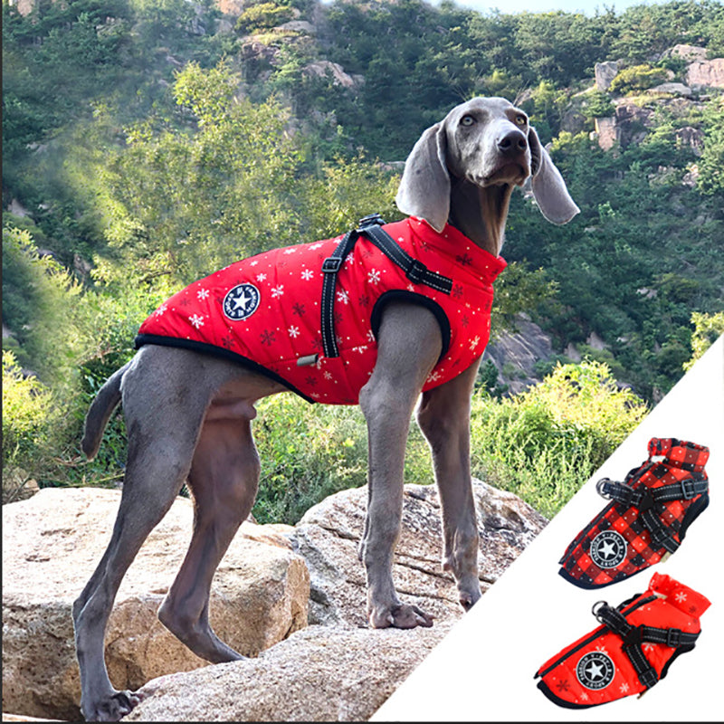 Winter Dog Coat - Waterproof, Warm, with Harness for All Sizes