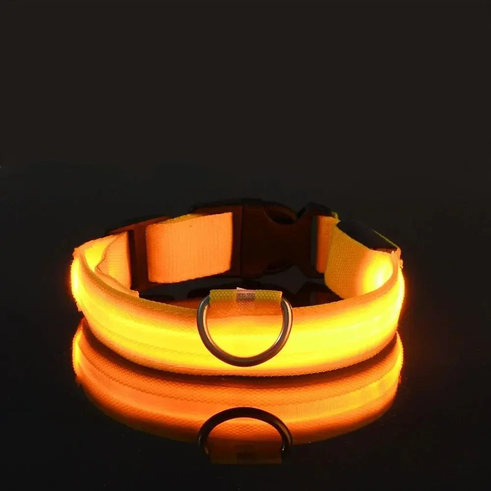 LED Dog Collar Light Up Safety Night Walking Flashing Glow