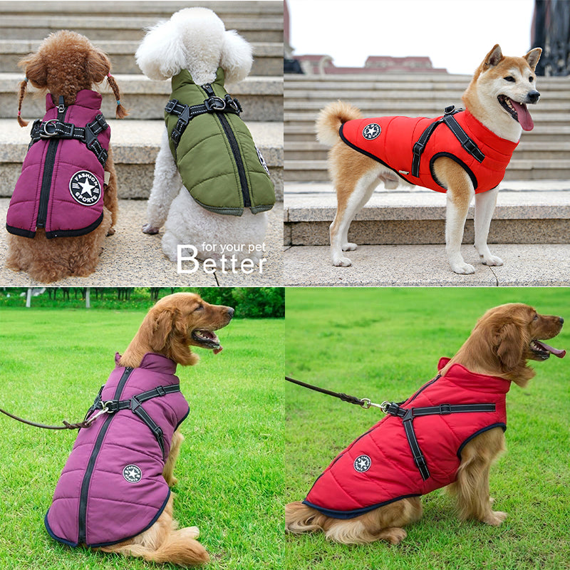 Winter Dog Coat - Waterproof, Warm, with Harness for All Sizes