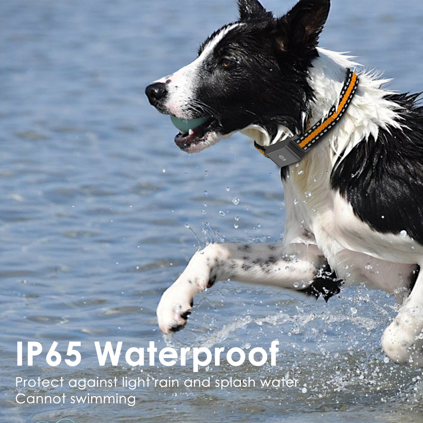 Waterproof 4G GPS Dog Tracker - Instant Alerts & Safe Zones