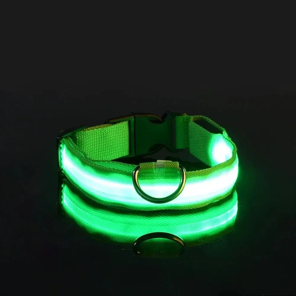 LED Dog Collar Light Up Safety Night Walking Flashing Glow