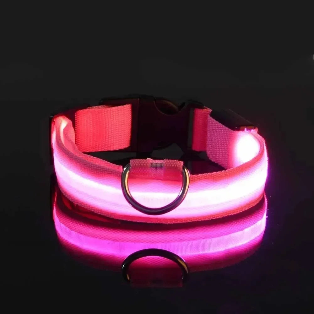 LED Dog Collar Light Up Safety Night Walking Flashing Glow