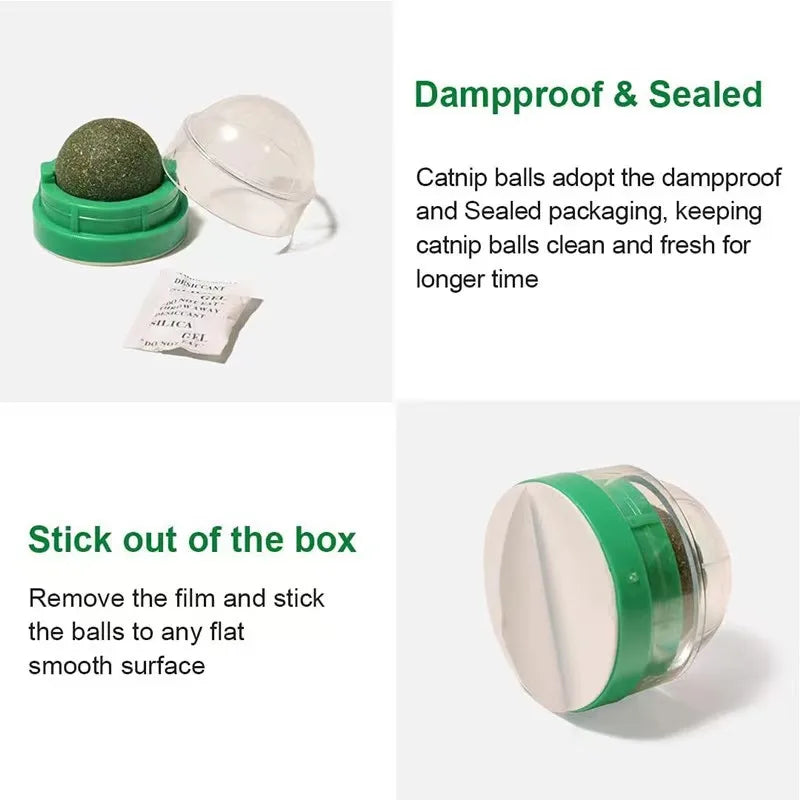 Catnip Wall Ball Toy | Natural Digestive Treat for Cats