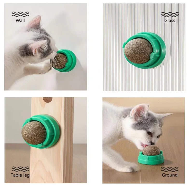 Catnip Wall Ball Toy | Natural Digestive Treat for Cats