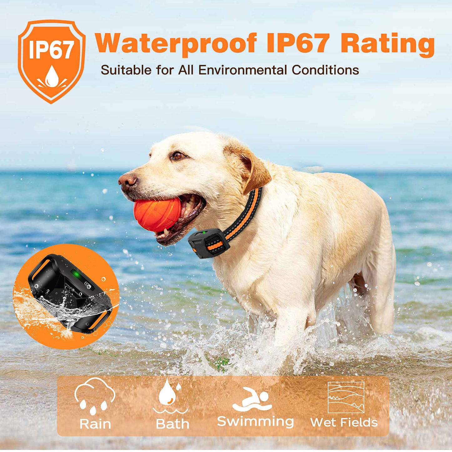 Electric Dog Training Collar | Waterproof & Remote Control