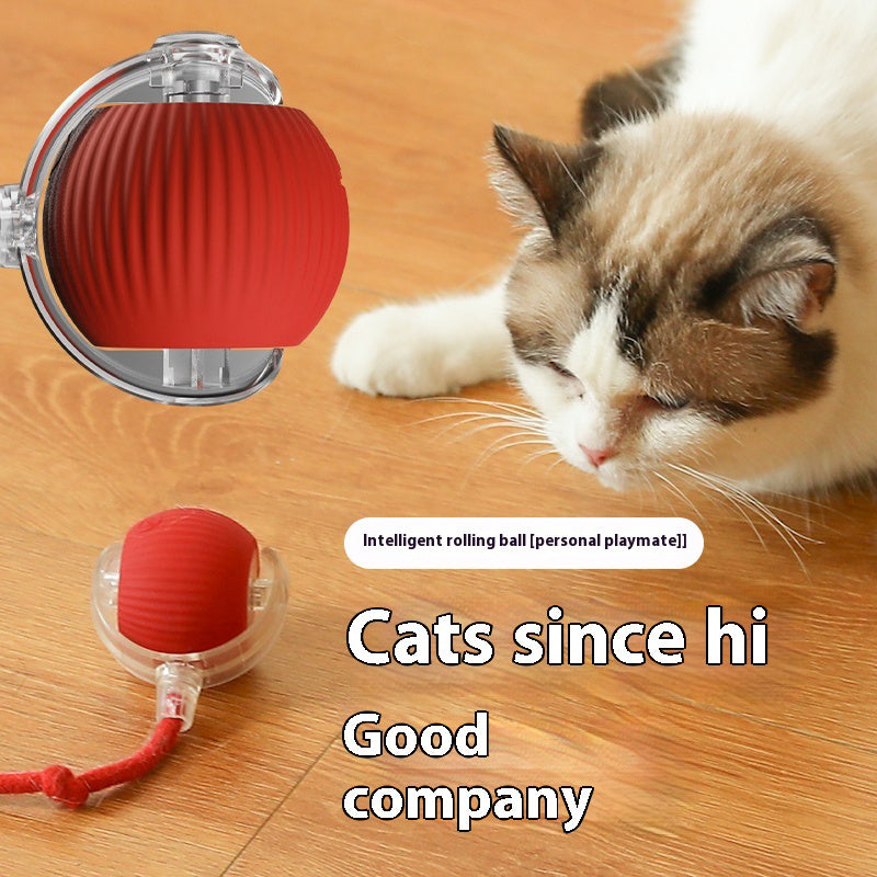 Cat Interactive Ball | Rechargeable Smart Toy for Kittens