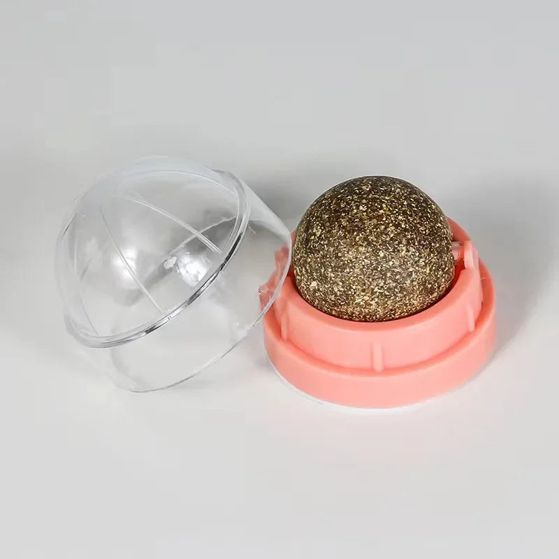 Catnip Wall Ball Toy | Natural Digestive Treat for Cats