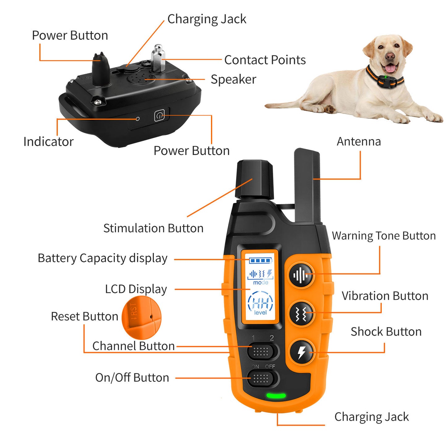 Electric Dog Training Collar | Waterproof & Remote Control