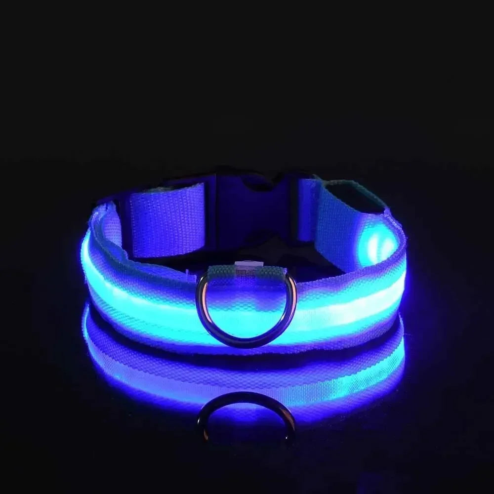 LED Dog Collar Light Up Safety Night Walking Flashing Glow