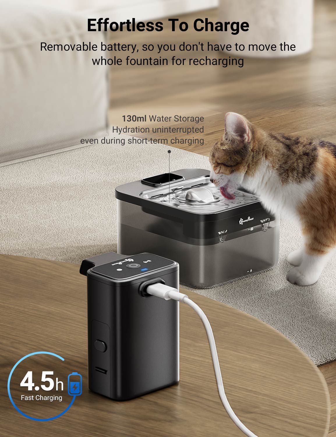 Stainless Steel Cat Water Fountain - 2.5L Automatic
