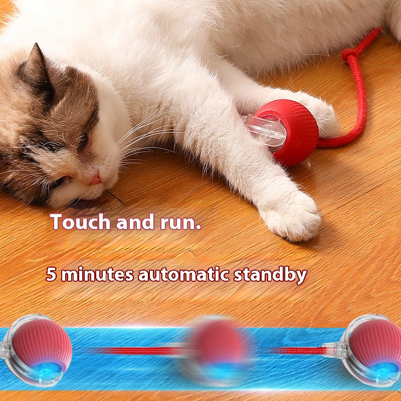 Cat Interactive Ball | Rechargeable Smart Toy for Kittens