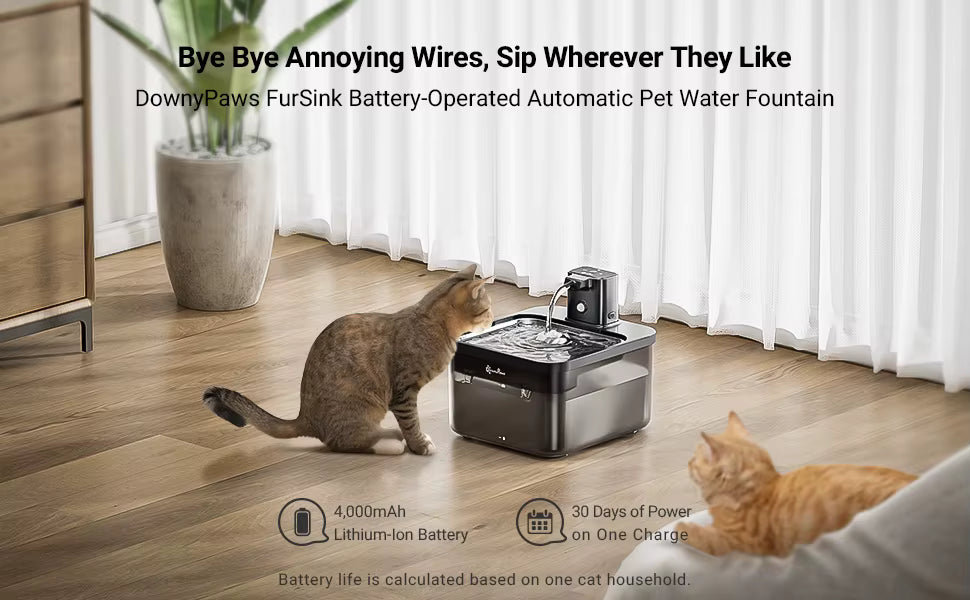 Stainless Steel Cat Water Fountain - 2.5L Automatic