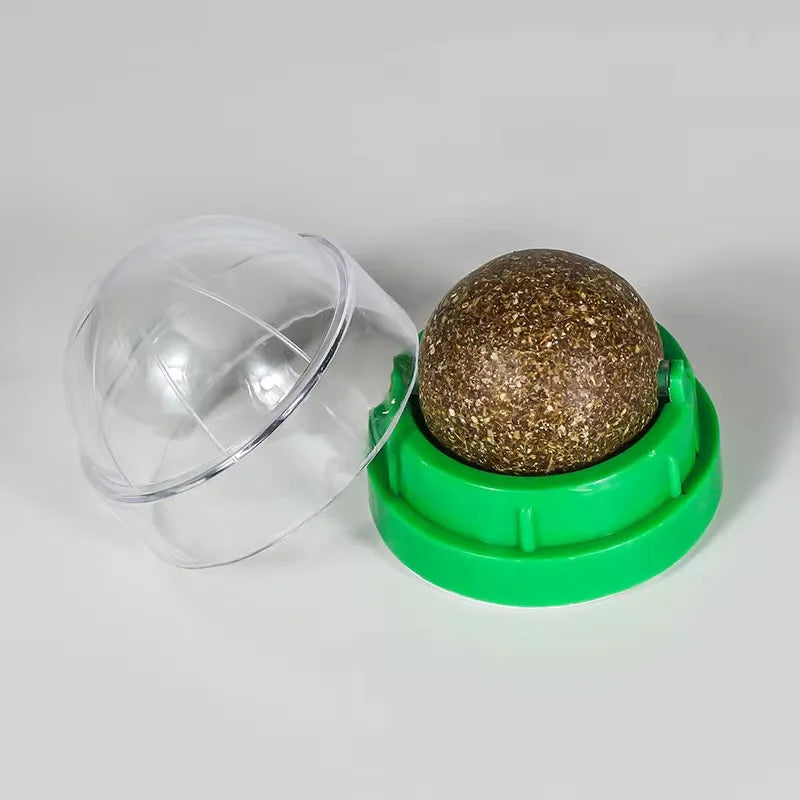 Catnip Wall Ball Toy | Natural Digestive Treat for Cats