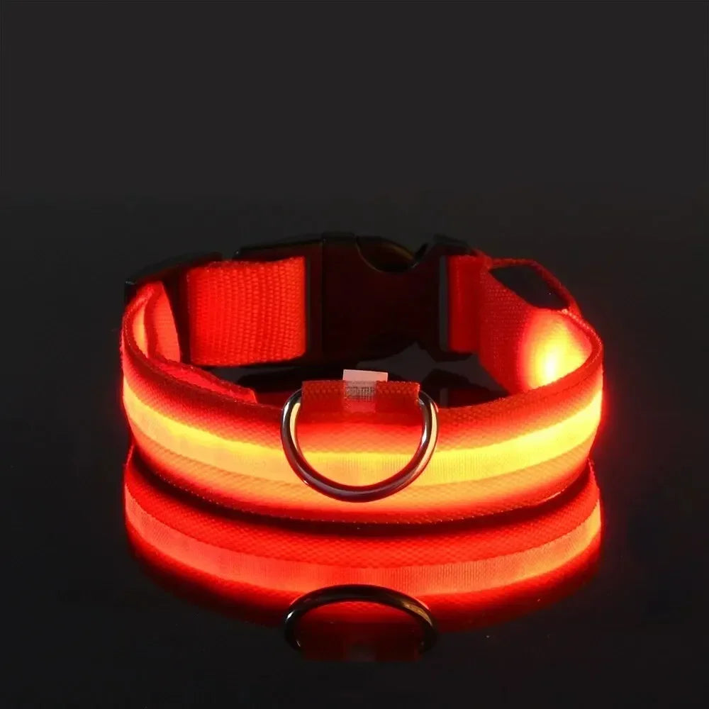 LED Dog Collar Light Up Safety Night Walking Flashing Glow