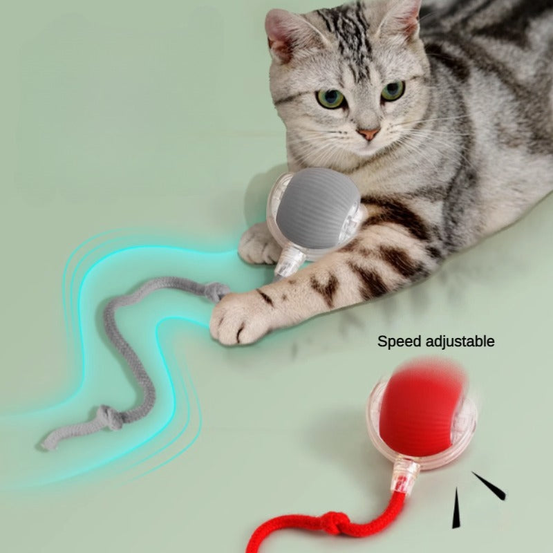 Cat Interactive Ball | Rechargeable Smart Toy for Kittens