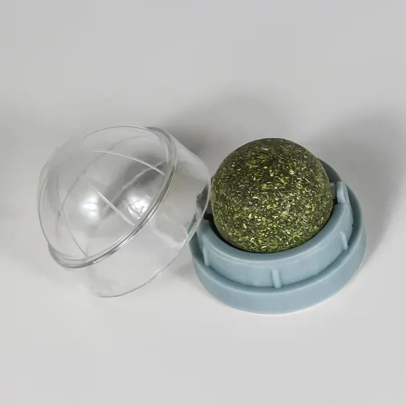 Catnip Wall Ball Toy | Natural Digestive Treat for Cats
