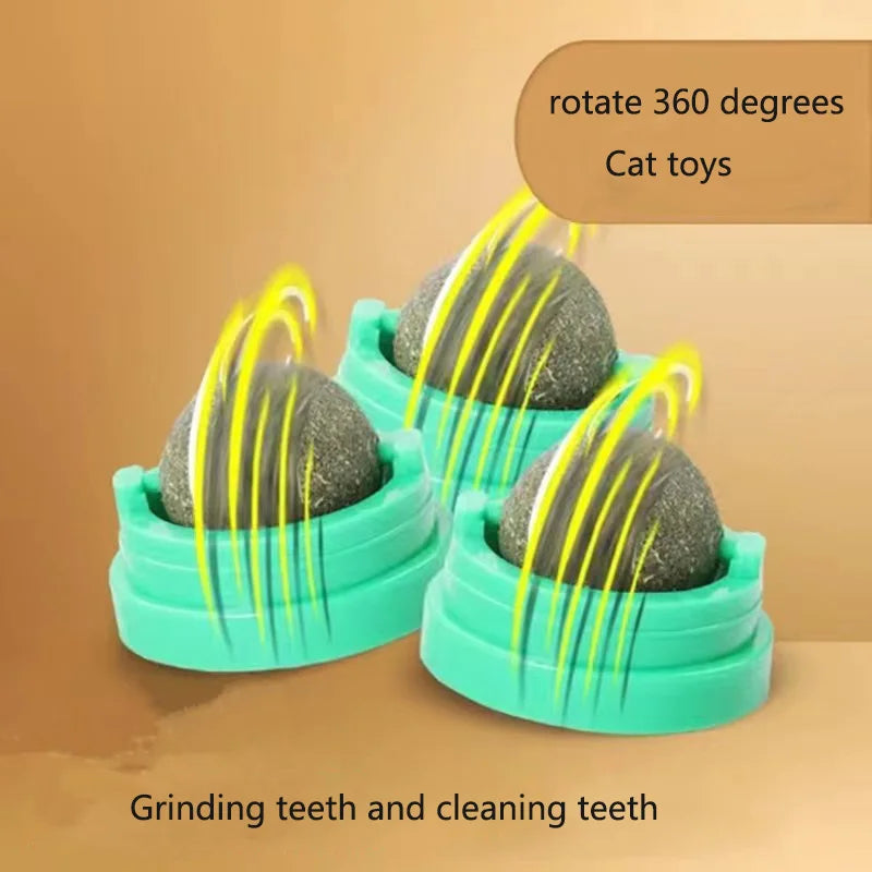 Catnip Wall Ball Toy | Natural Digestive Treat for Cats