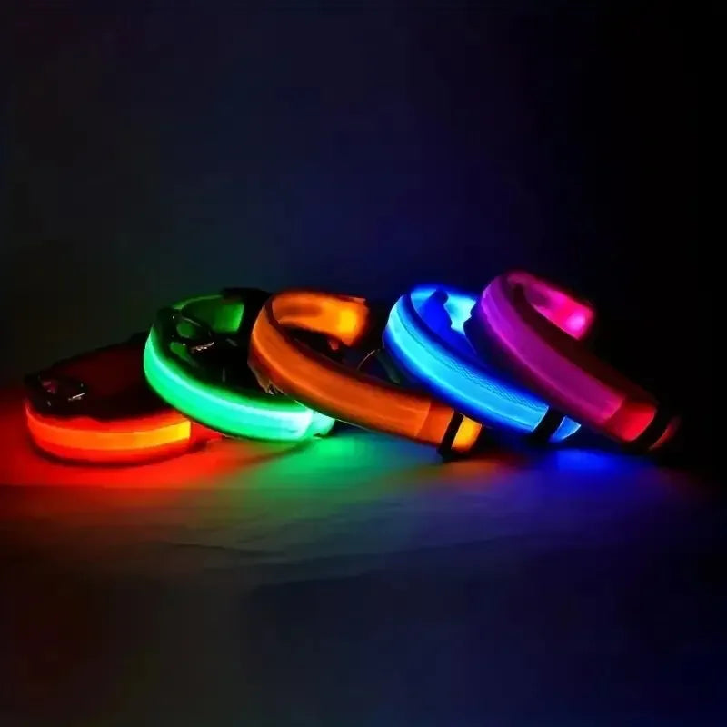 LED Dog Collar Light Up Safety Night Walking Flashing Glow