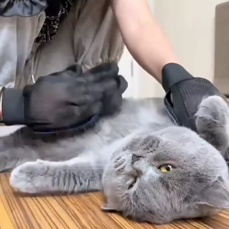 Pet Hair DE shedding Glove | Gentle Silicone Grooming Brush