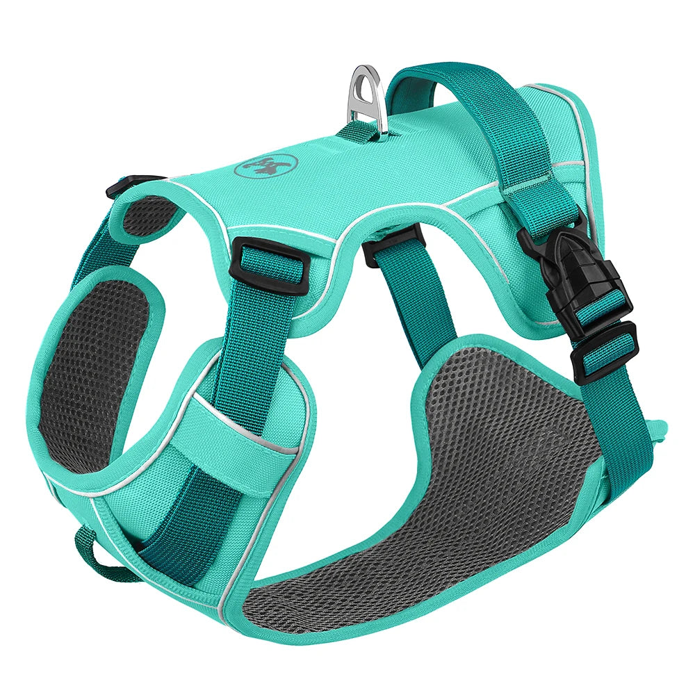 Reflective Mesh Dog Harness | Adjustable for All Sizes