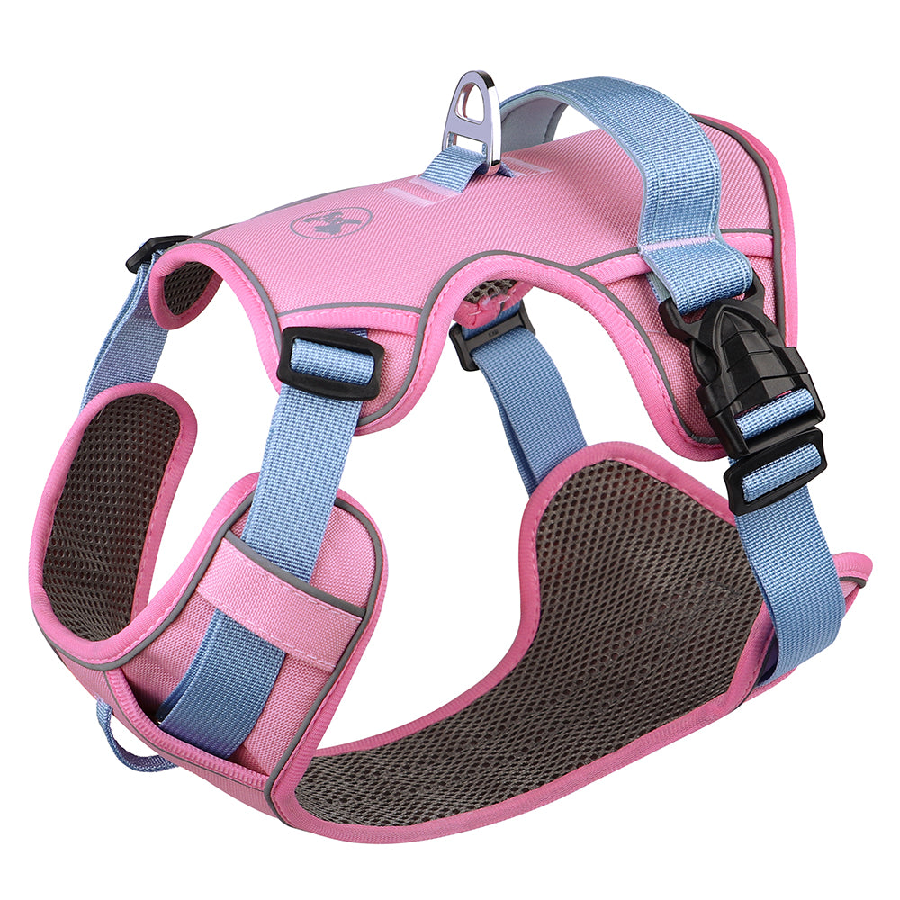 Reflective Mesh Dog Harness | Adjustable for All Sizes