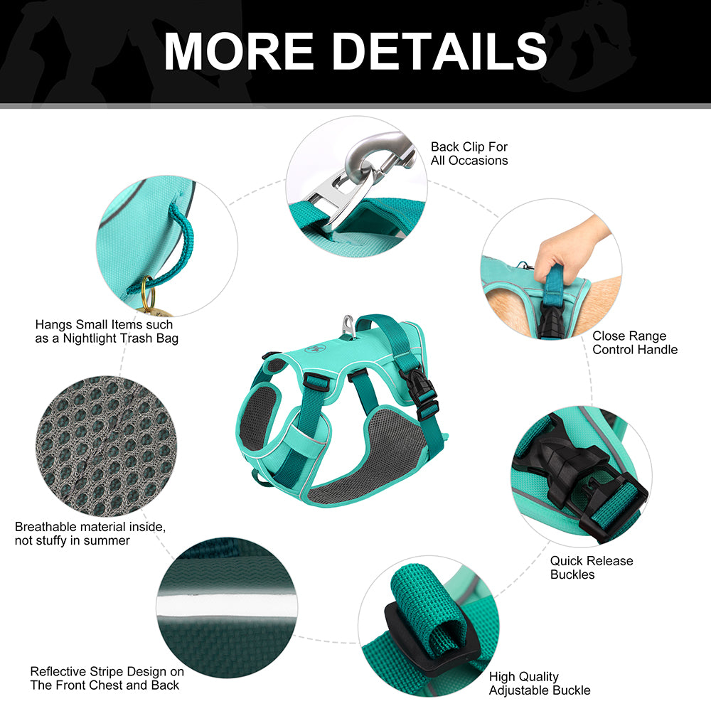 Reflective Mesh Dog Harness | Adjustable for All Sizes