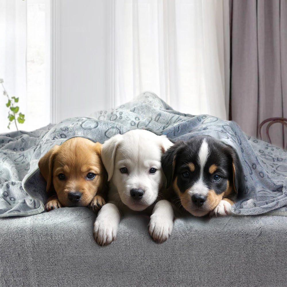 Ultra-Soft Paw Print Dog Blanket | Cosy, Washable Pet Cover