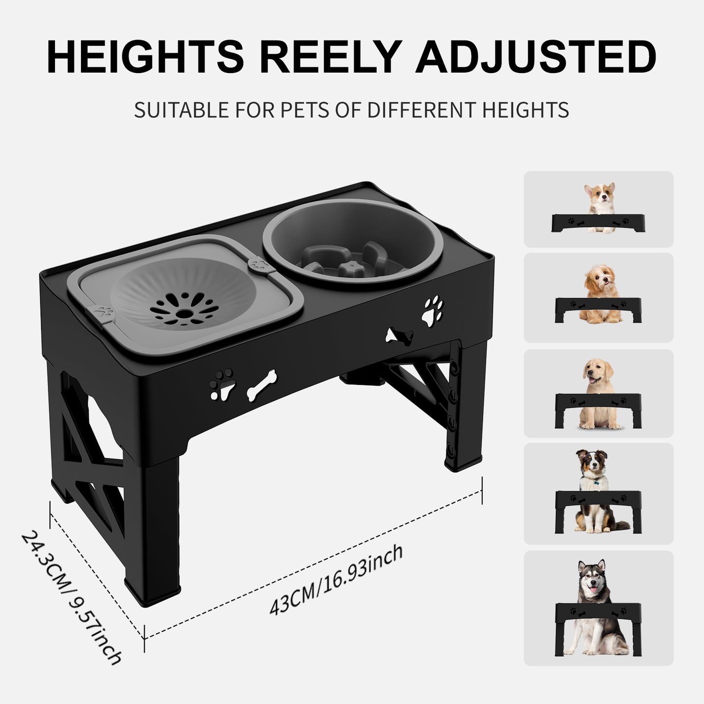 Pet Feeder 3-in-1 | Adjustable Height, Slow Feed, Double Bowls