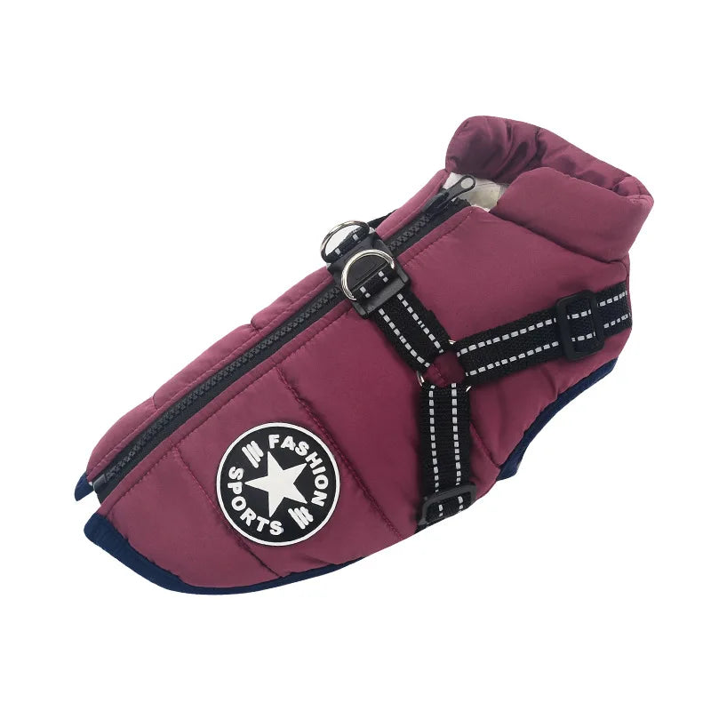 Winter Dog Coat - Waterproof, Warm, with Harness for All Sizes