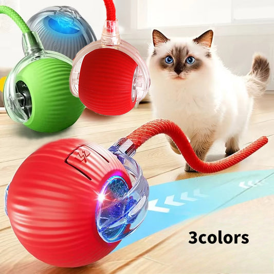 Cat Interactive Ball | Rechargeable Smart Toy for Kittens
