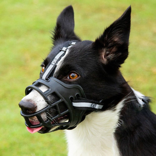 Anti-Biting Dog Muzzle: Adjustable, Breathable, Reflective