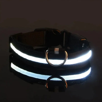 LED Dog Collar Light Up Safety Night Walking Flashing Glow
