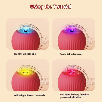Cat Interactive Ball | Rechargeable Smart Toy for Kittens