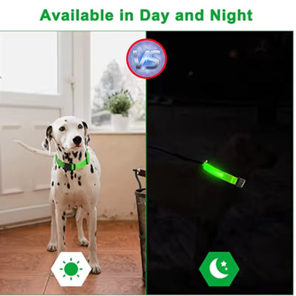 LED Dog Collar Light Up Safety Night Walking Flashing Glow