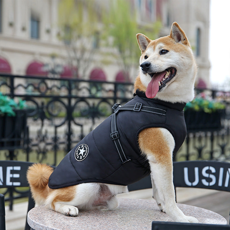 Winter Dog Coat - Waterproof, Warm, with Harness for All Sizes