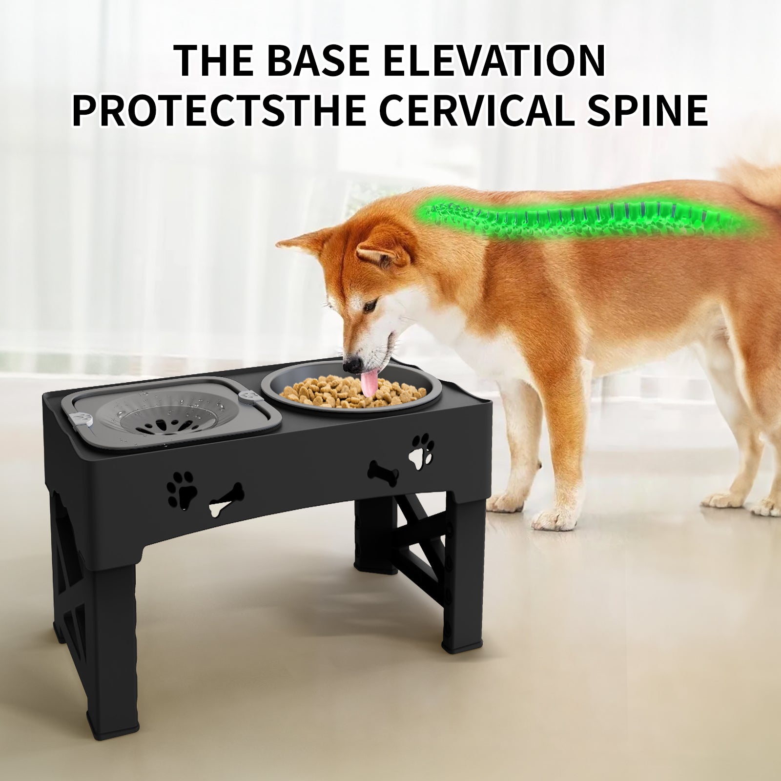Pet Feeder 3-in-1 | Adjustable Height, Slow Feed, Double Bowls